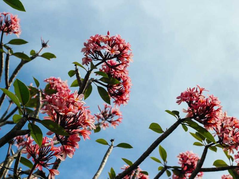 客户管理功能界面